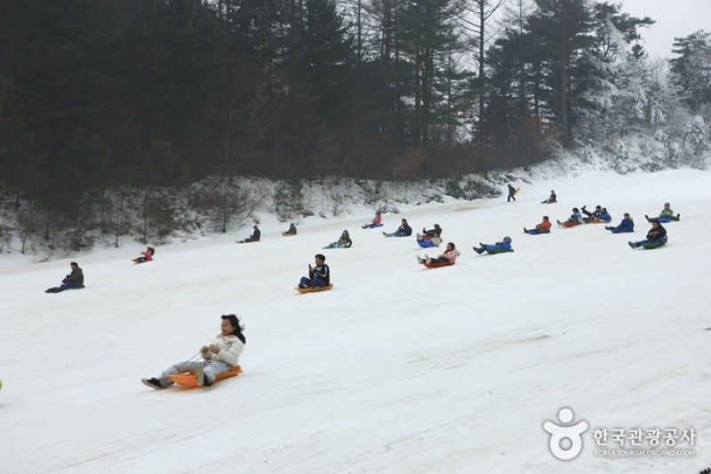 Hanwha Resort - Yangpyeong Sledding Park  (4/11)