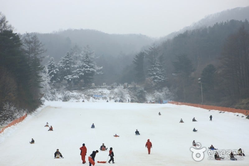 Hanwha Resort - Yangpyeong Sledding Park  (5/11)