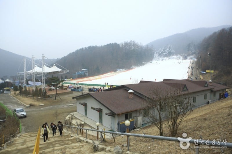Hanwha Resort - Yangpyeong Sledding Park  (6/11)