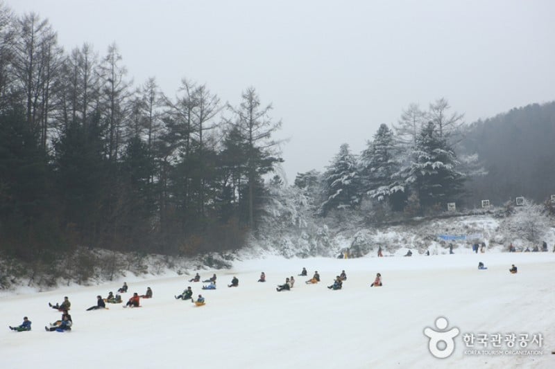 Hanwha Resort - Yangpyeong Sledding Park  (7/11)