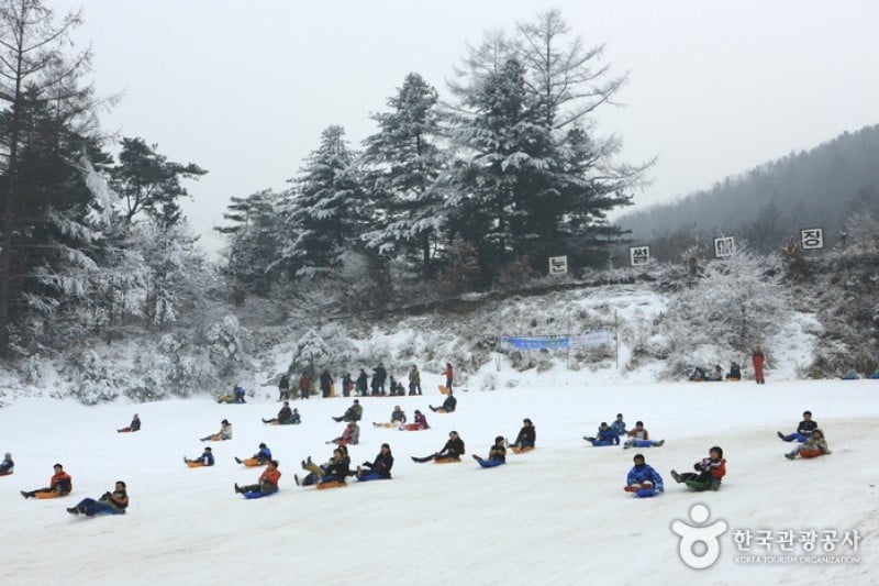 Hanwha Resort - Yangpyeong Sledding Park  (8/11)