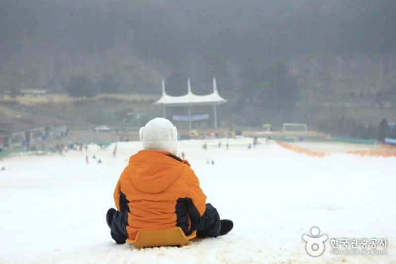 Hanwha Resort - Yangpyeong Sledding Park  (9/11)