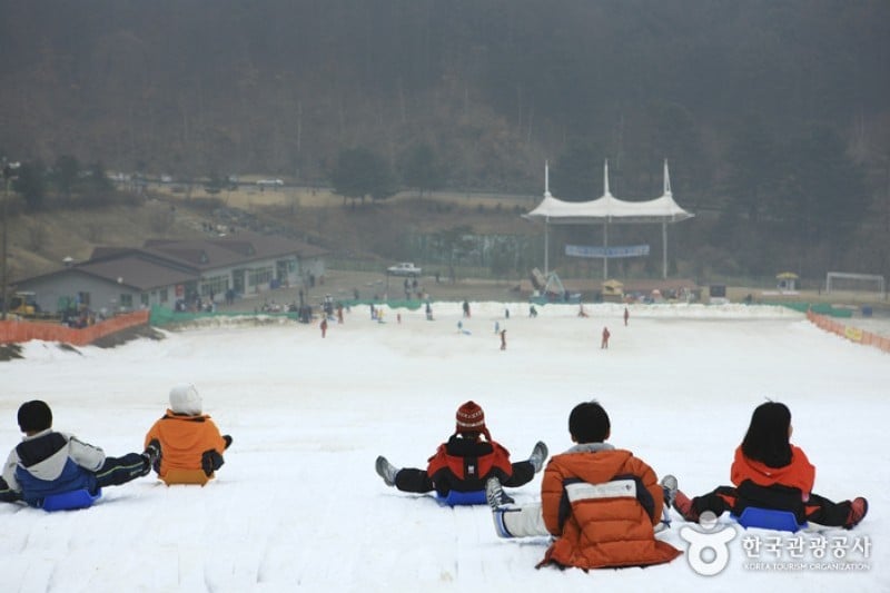 Hanwha Resort - Yangpyeong Sledding Park  (10/11)
