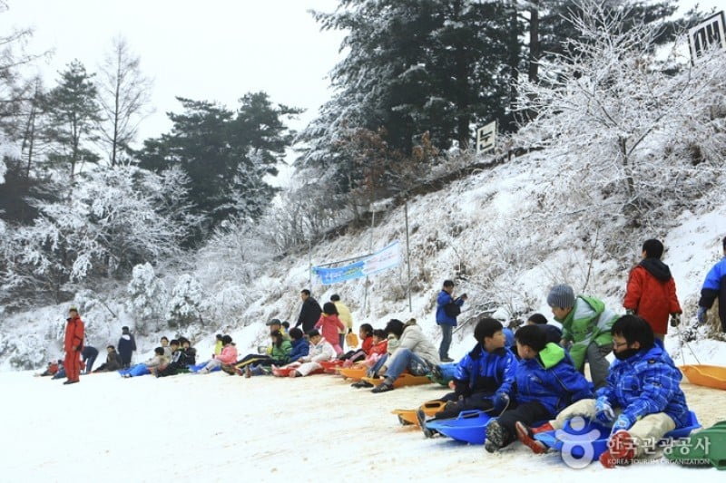 Hanwha Resort - Yangpyeong Sledding Park  (11/11)