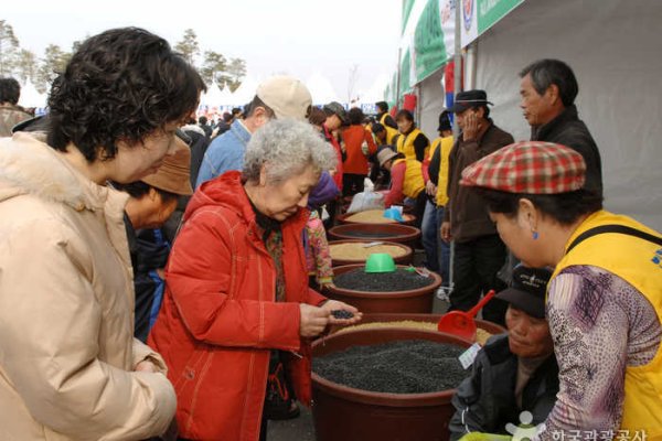 Paju Jangdan Soybean Festival