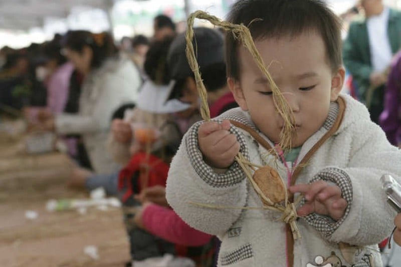 Paju Jangdan Soybean Festival  (2/5)