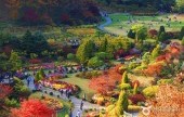 The Garden of Morning Calm 