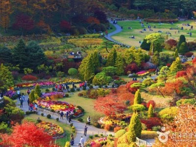 The Garden of Morning Calm