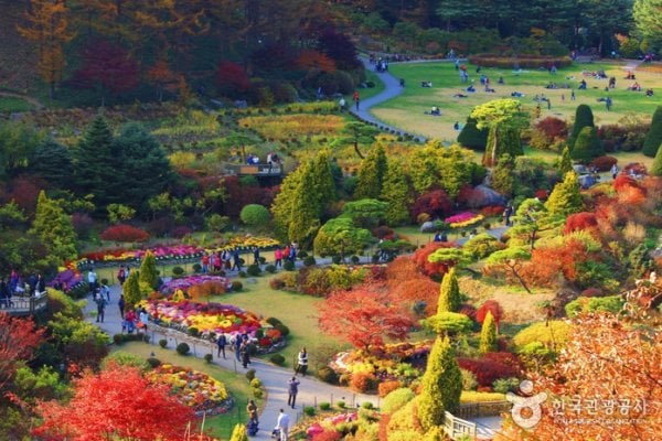 The Garden of Morning Calm