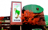 Pinocchio Museum 