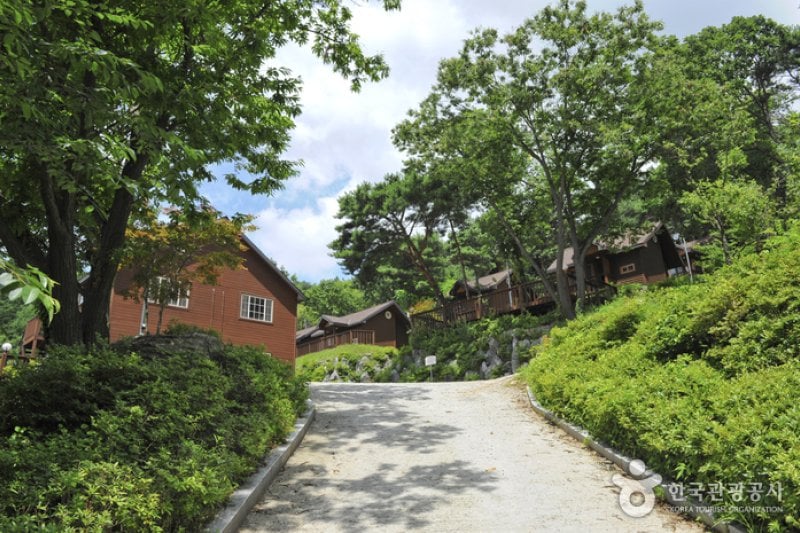 Yongmunsan Natural Recreational Forest  (1/6)