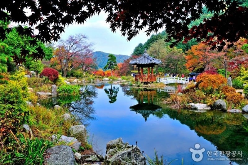 The Garden of Morning Calm  (54/54)