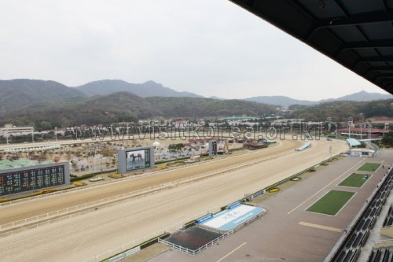 Seoul Race Park  (1/10)