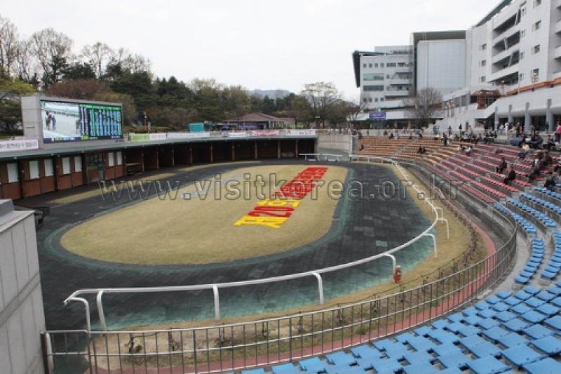 Seoul Race Park  (2/10)