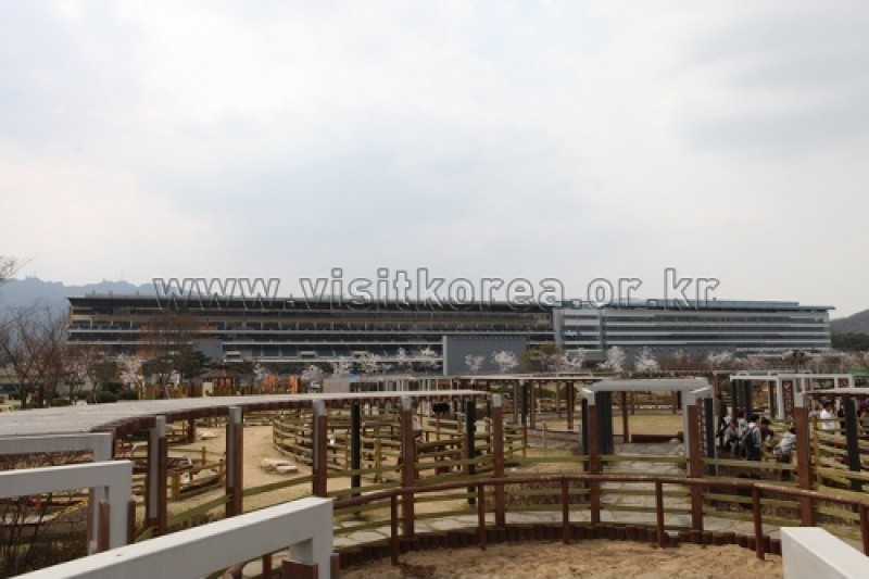 Seoul Race Park  (4/10)