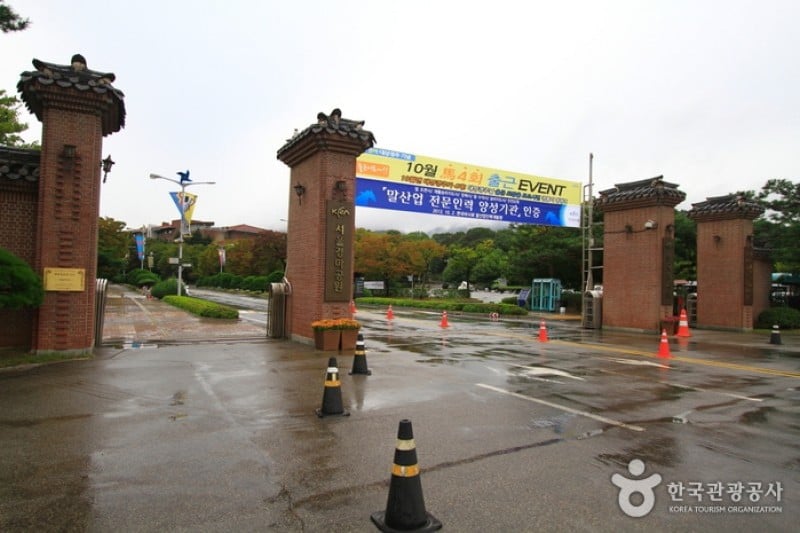 Seoul Race Park  (7/10)