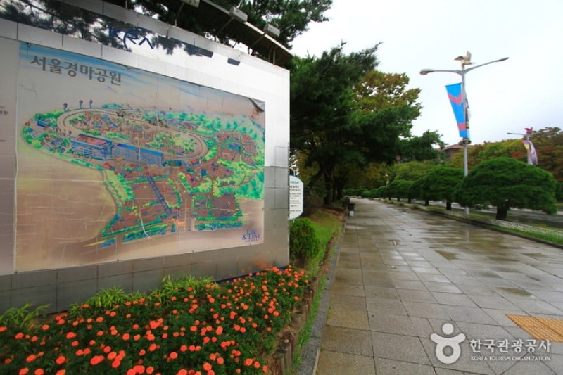 Seoul Race Park  (8/10)