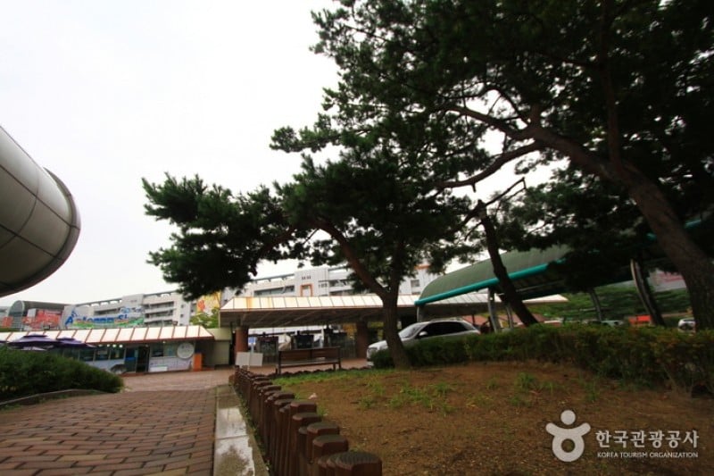 Seoul Race Park  (10/10)