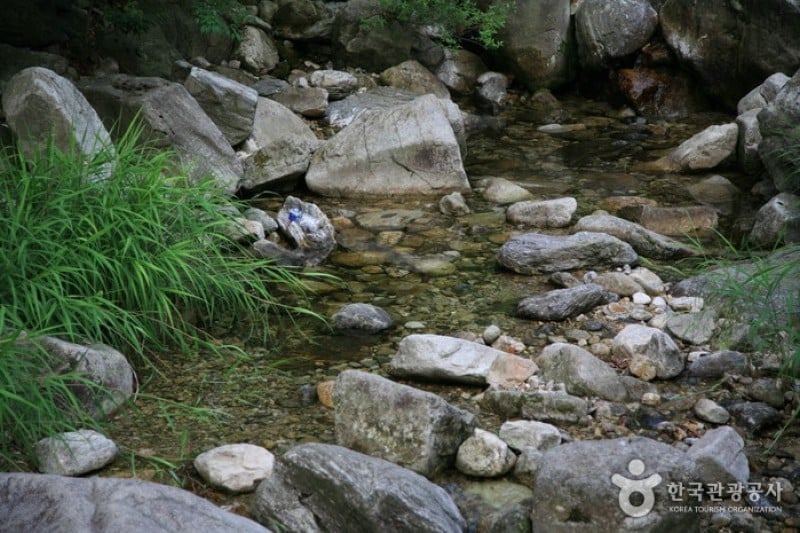Gungmangbong Recreational Forest (Pocheon)  (3/7)