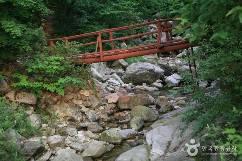 Gungmangbong Recreational Forest (Pocheon)  (6/7)