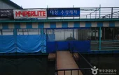 Daesung Water Leports 