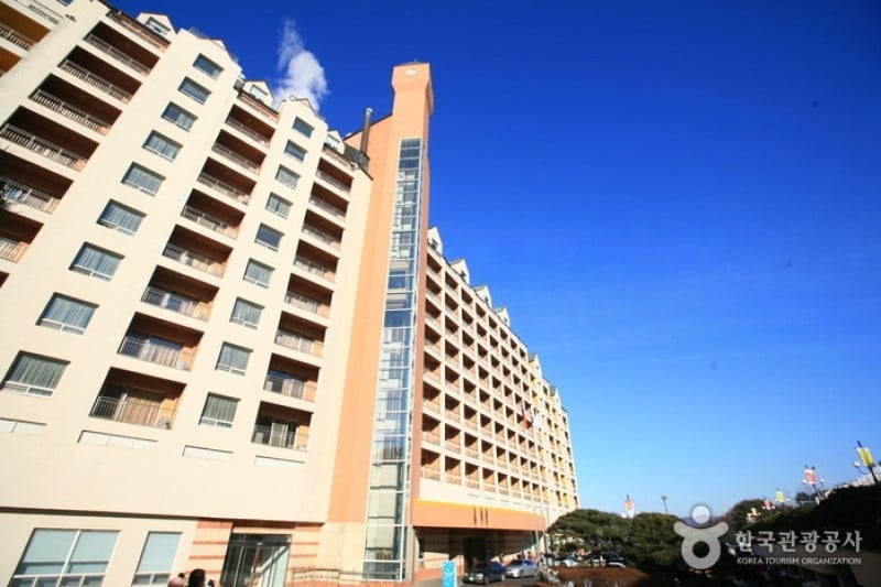 Yangji Pine Resort  (4/5)