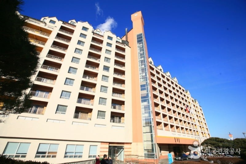 Yangji Pine Resort  (5/5)