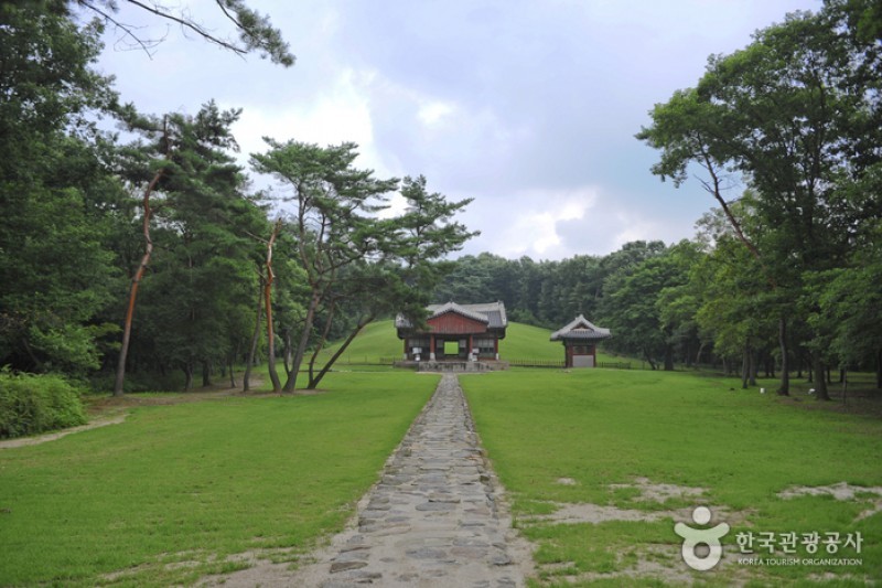 Paju Samneung  (1/20)