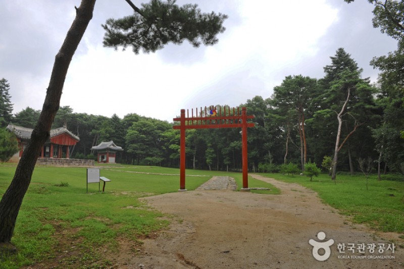 Paju Samneung  (5/20)