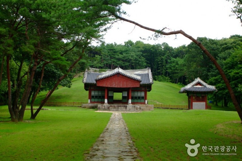 Paju Samneung  (7/20)