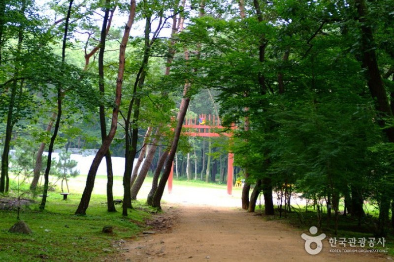 Paju Samneung  (14/20)