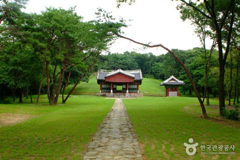 Paju Samneung  (16/20)