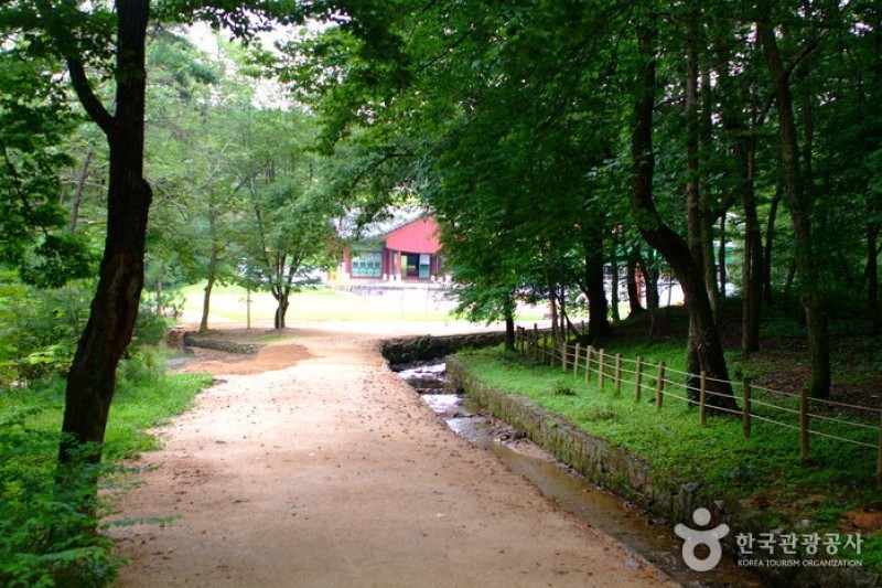 Paju Samneung  (18/20)