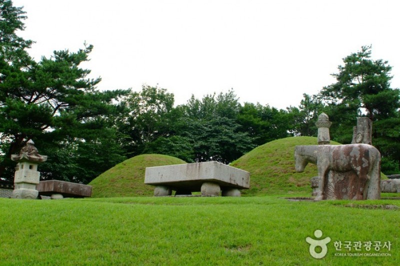 Paju Samneung  (20/20)