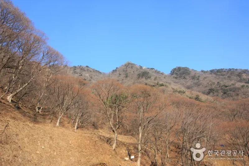 Surisan Provincial Park (수리산도립공원) (4/8)
