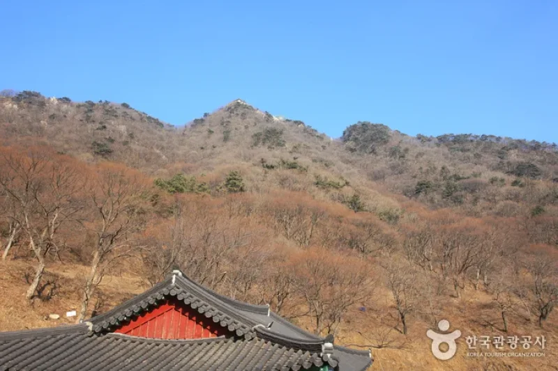 Surisan Provincial Park (수리산도립공원) (5/8)