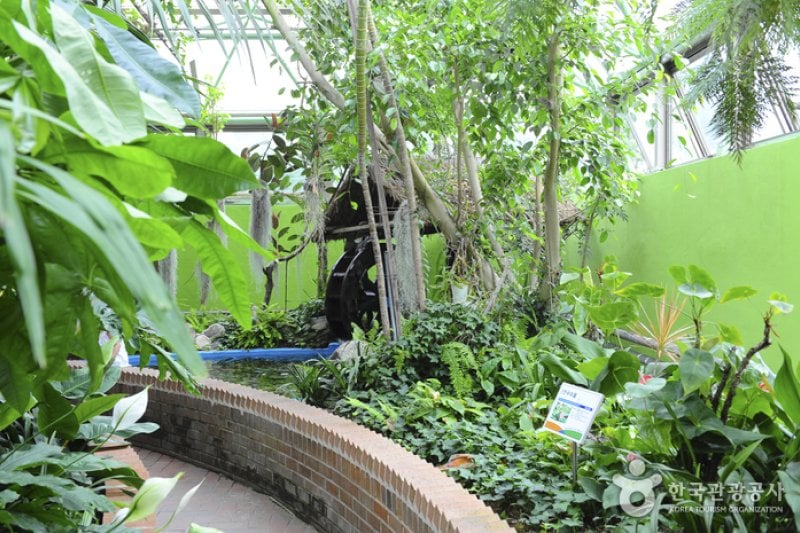 Ansan Botanical Garden  (3/15)