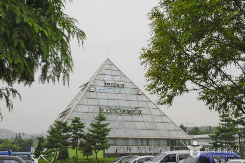 Ansan Botanical Garden  (4/15)