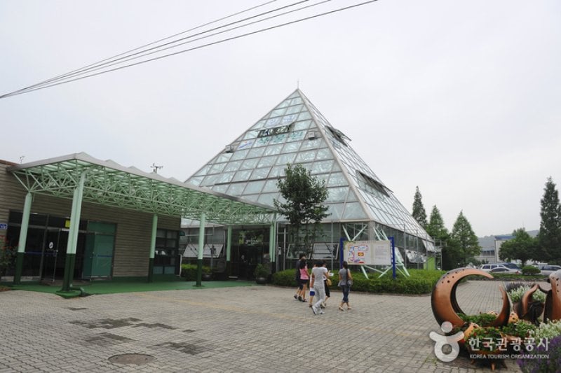 Ansan Botanical Garden  (5/15)
