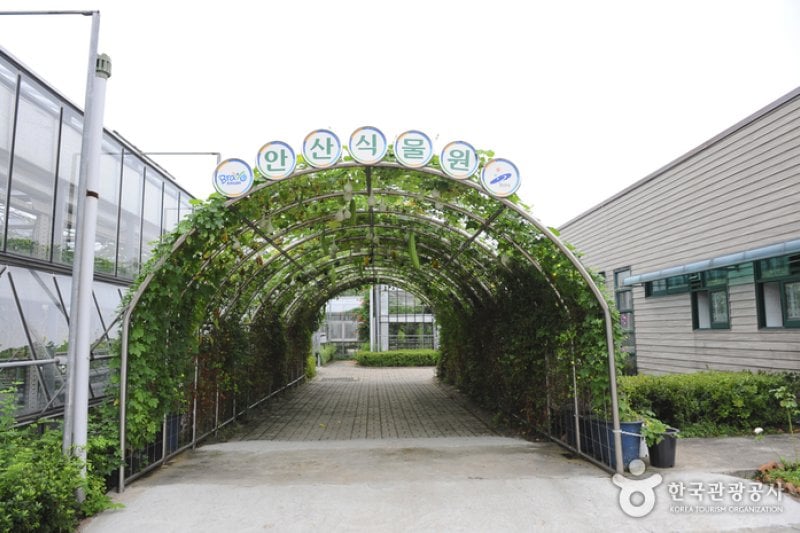 Ansan Botanical Garden  (6/15)