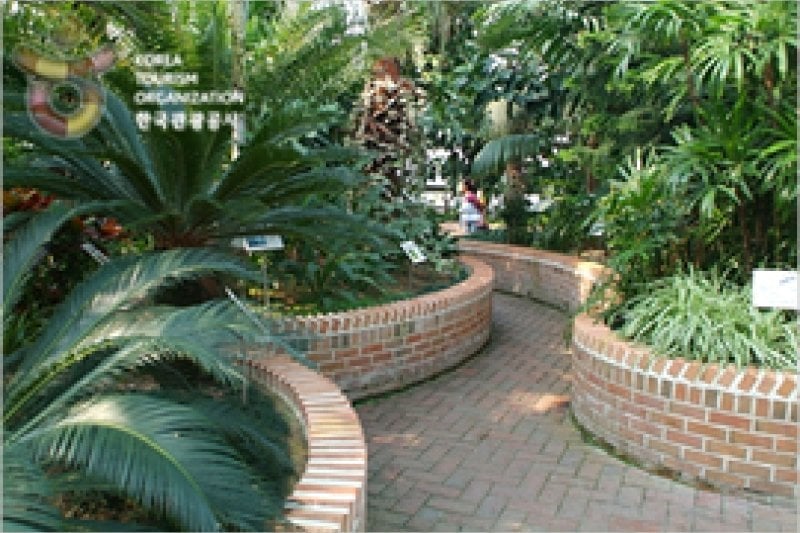 Ansan Botanical Garden  (8/15)