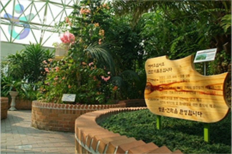 Ansan Botanical Garden  (9/15)