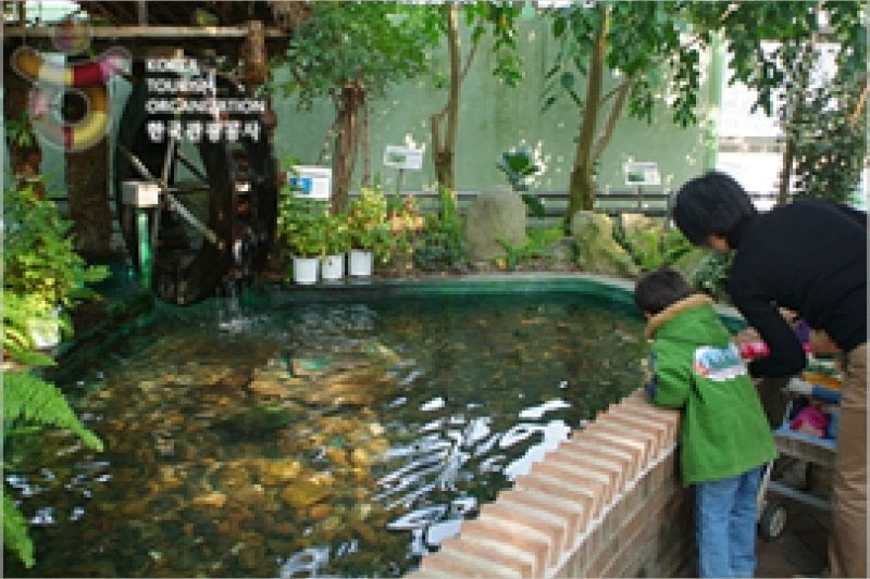 Ansan Botanical Garden  (10/15)