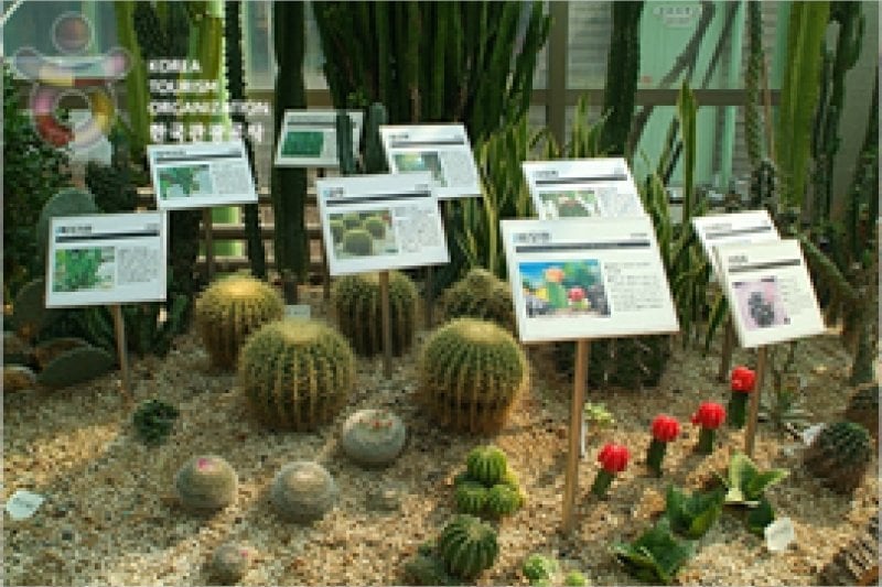 Ansan Botanical Garden  (12/15)