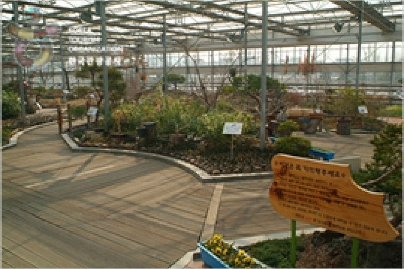 Ansan Botanical Garden  (13/15)