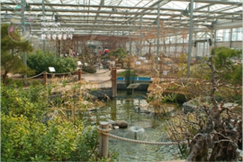 Ansan Botanical Garden  (14/15)