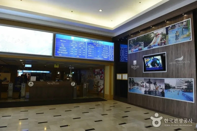 The Hotel Miranda Swimming Pools  (3/6)