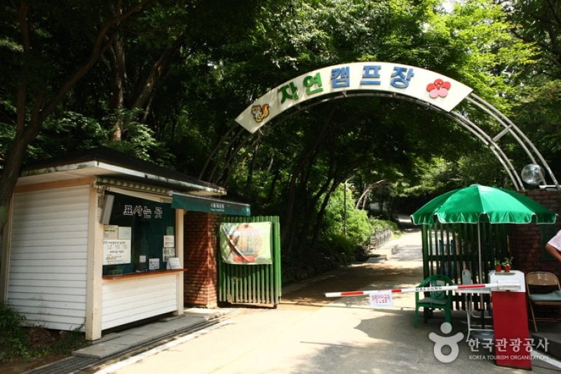 Natural Camp Site in Seoul Grand Park  (1/13)