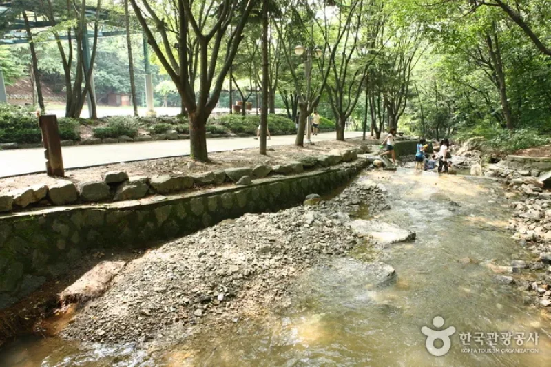 Natural Camp Site in Seoul Grand Park  (2/13)
