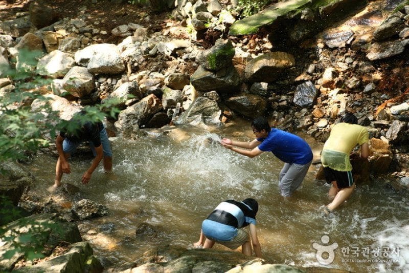Natural Camp Site in Seoul Grand Park  (3/13)